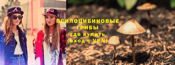 гидра Арсеньев