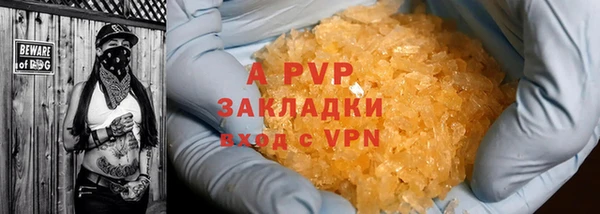 стаф Алзамай