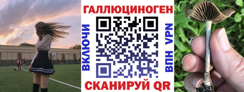 как найти наркотики  Лахденпохья  Галлюциногенные грибы Cubensis 